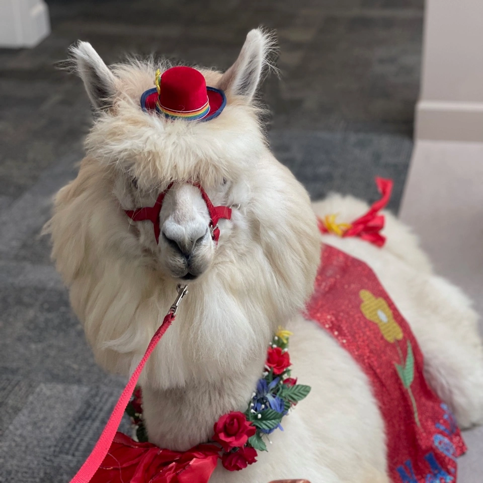 St. Anthony Village Mothers day